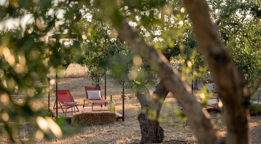 Photo of Olive Trulli