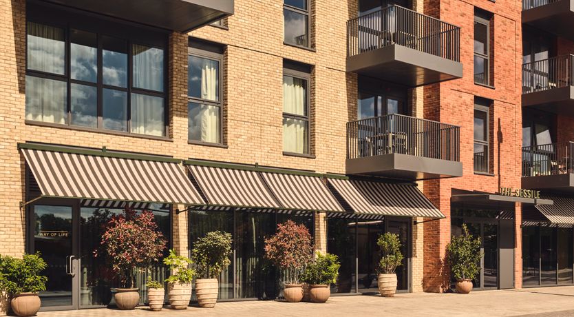 Photo of Sessile Oak