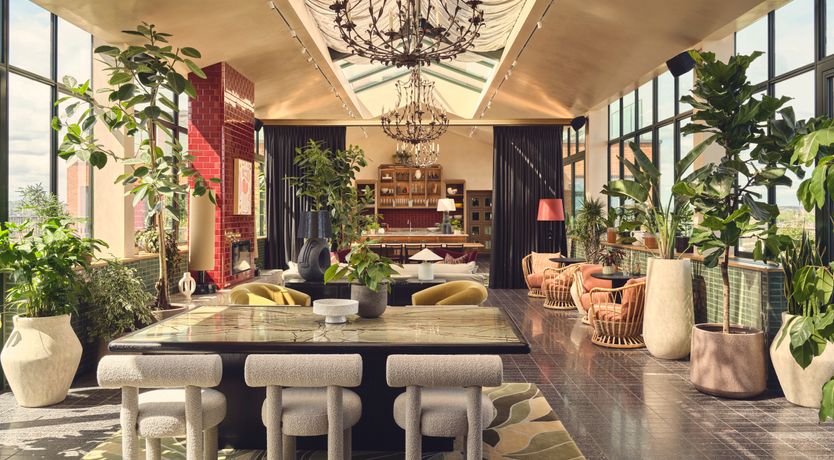 Photo of Sessile Oak