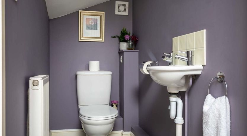 Photo of The Gypsy Horse