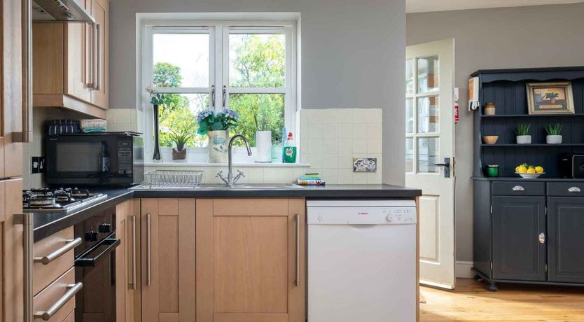 Photo of The Gypsy Horse