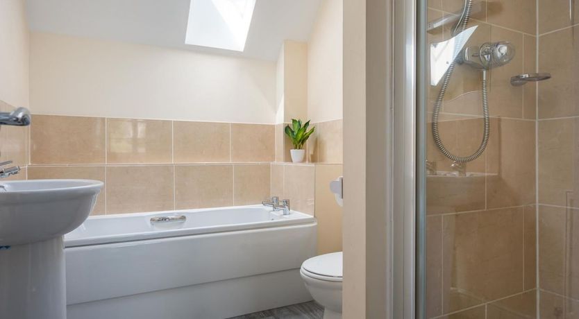 Photo of The Gypsy Horse