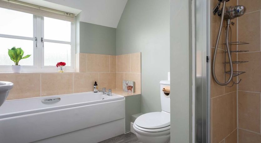 Photo of The Gypsy Horse