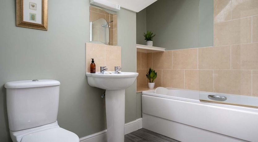 Photo of The Gypsy Horse