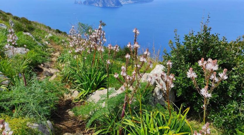 Photo of Mystic Cove