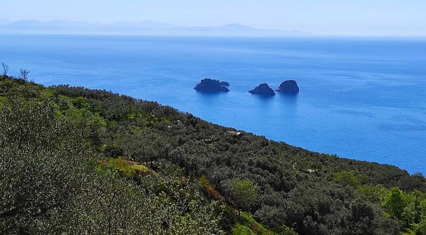 Photo of Mystic Cove