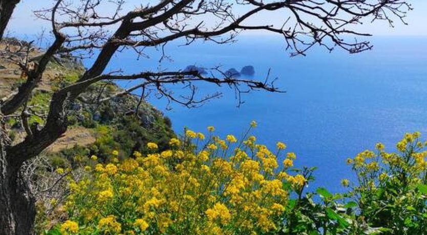 Photo of Mystic Cove