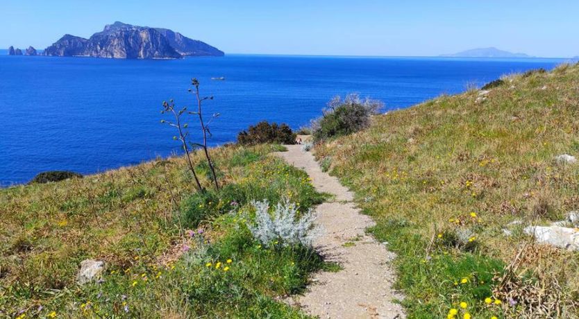 Photo of Mystic Cove