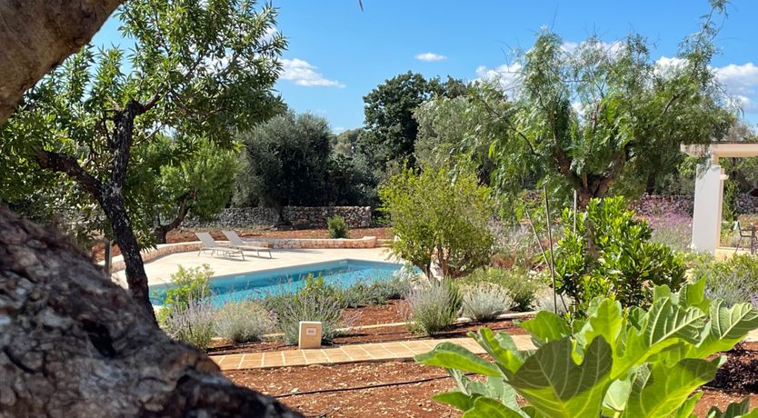 Photo of Levante Stones