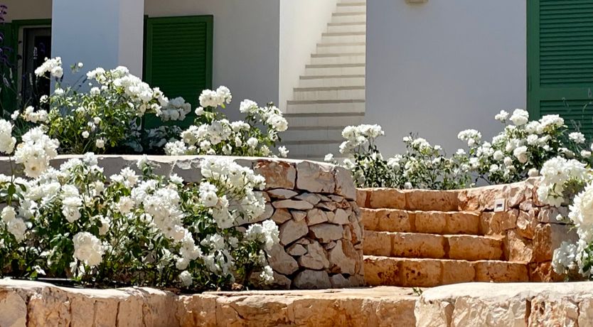 Photo of Levante Stones