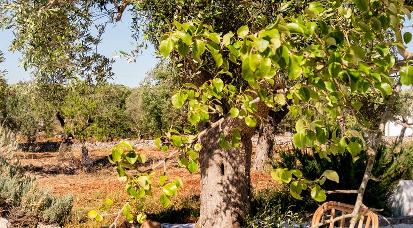 Photo of Stone Whispers