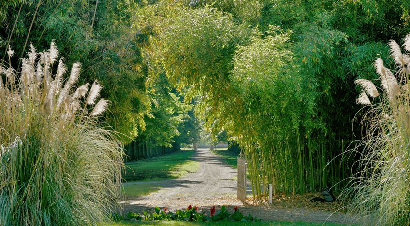 Photo of Quaint Villa