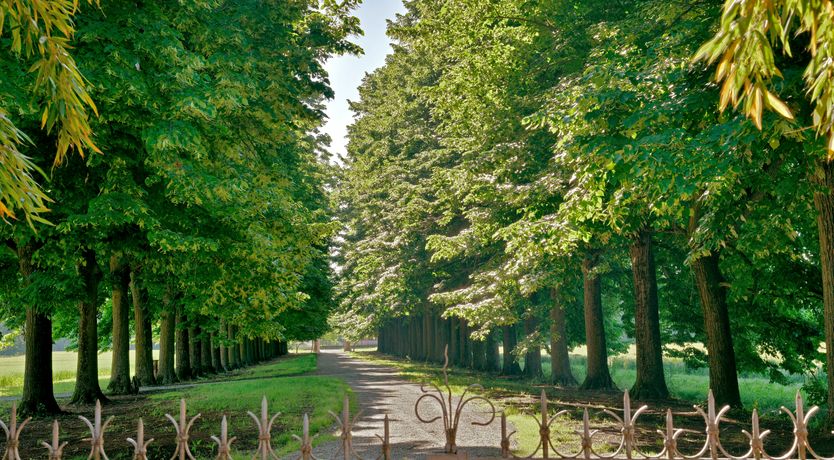 Photo of Quaint Villa