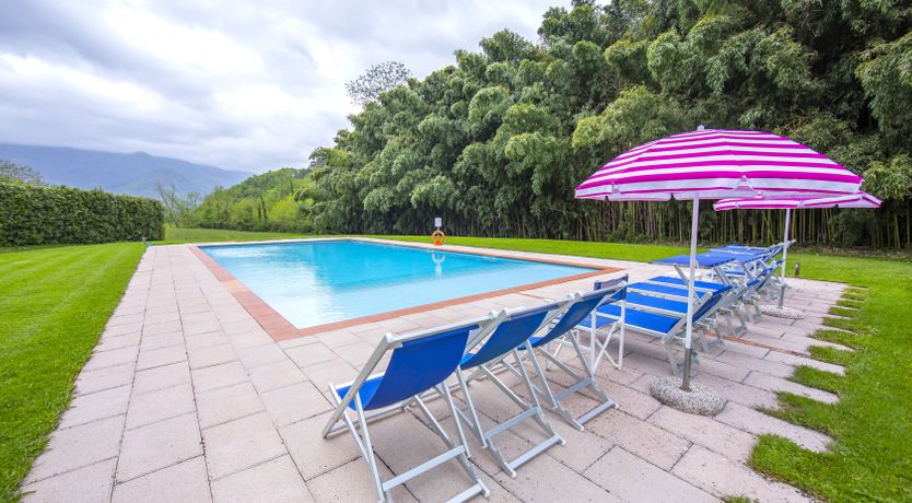 Photo of Emerald Forest