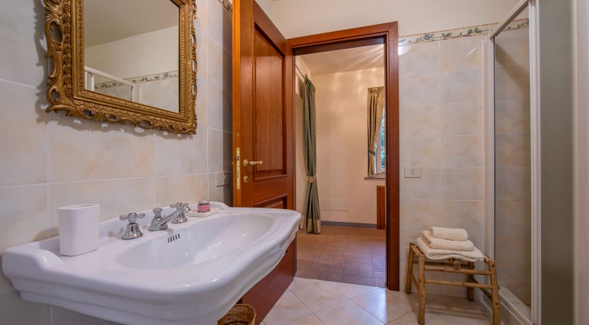 Photo of Emerald Forest