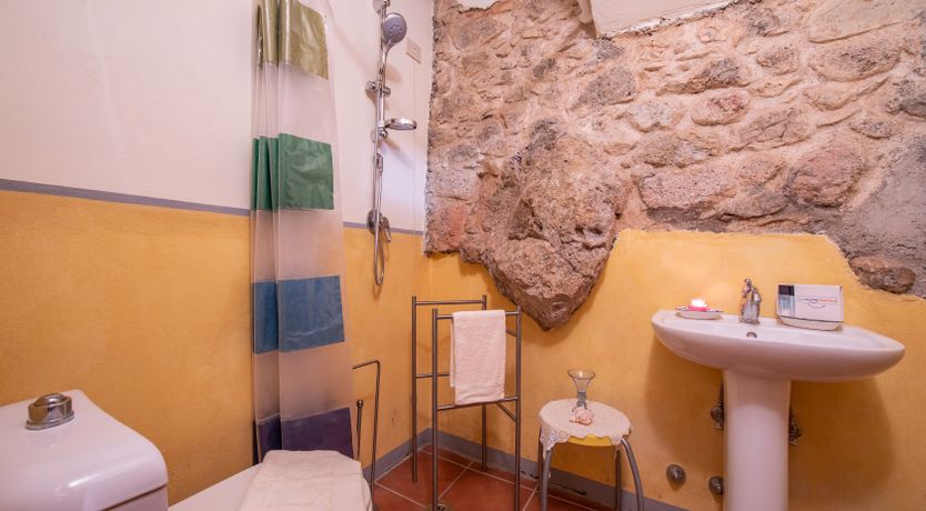 Photo of Emerald Forest