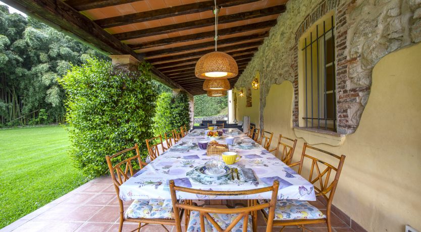 Photo of Emerald Forest