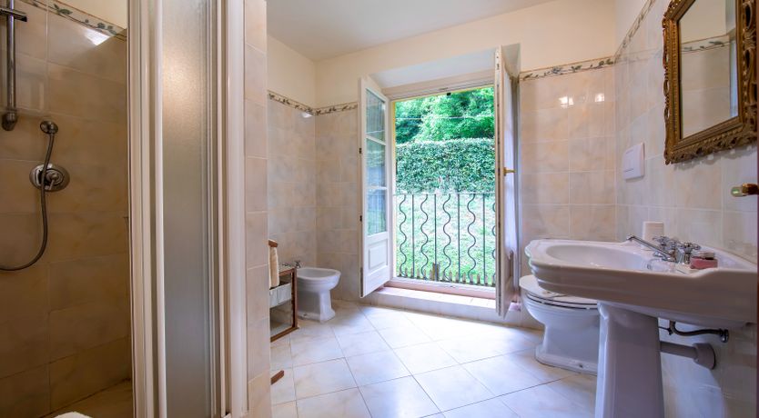 Photo of Emerald Forest