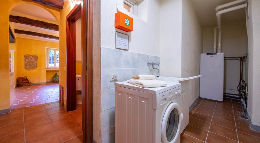 Photo of Emerald Forest