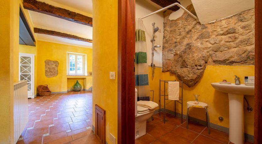 Photo of Emerald Forest