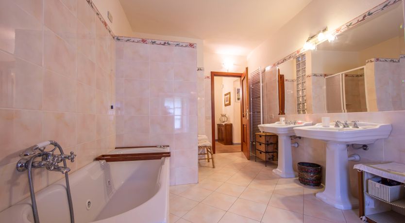 Photo of Emerald Forest