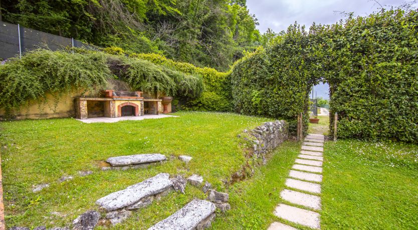 Photo of Emerald Forest