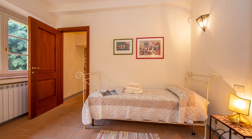 Photo of Emerald Forest