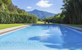 Photo of Emerald Forest