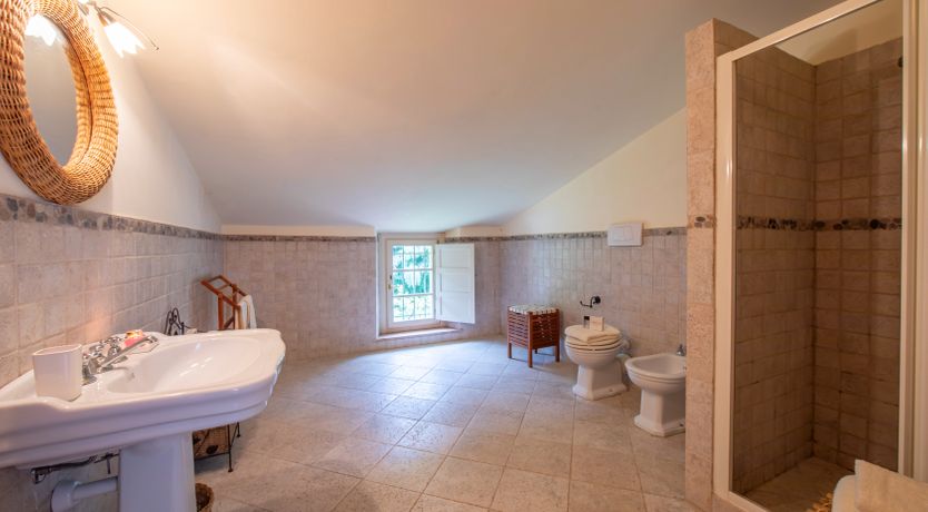 Photo of Emerald Forest