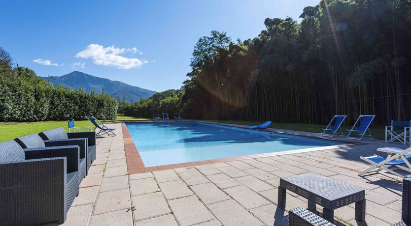 Photo of Emerald Forest