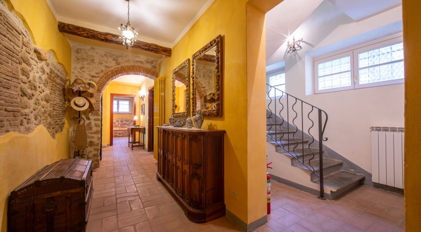 Photo of Emerald Forest