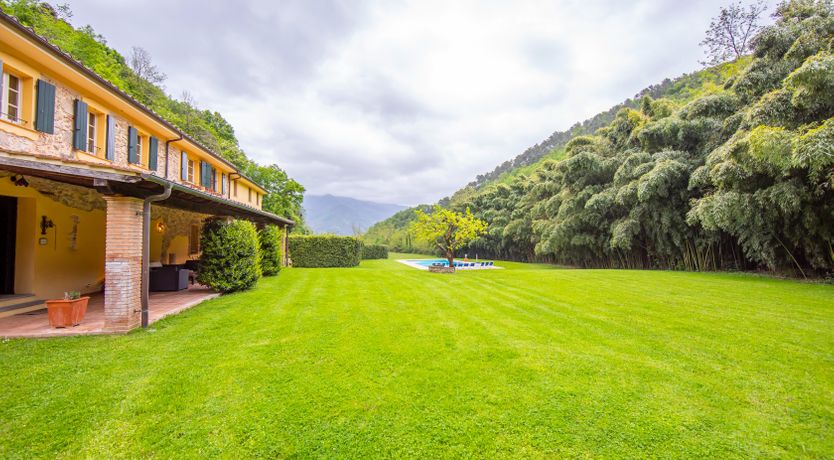 Photo of Emerald Forest