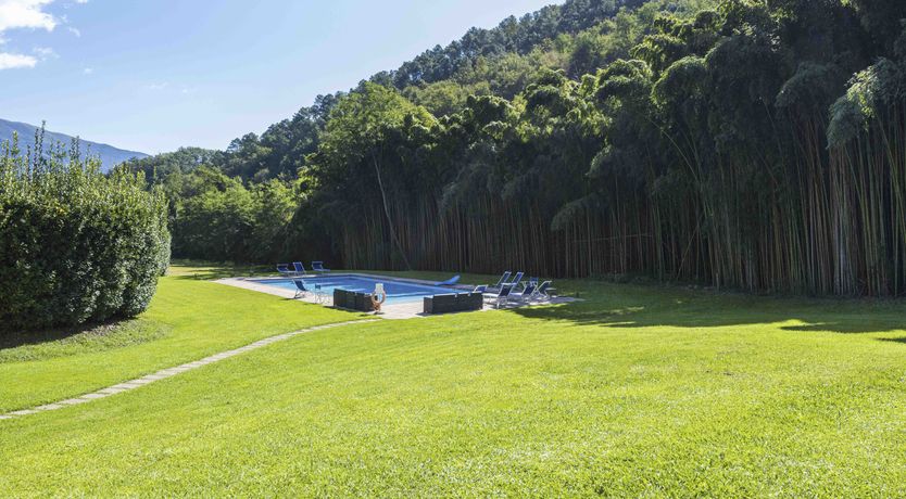 Photo of Emerald Forest