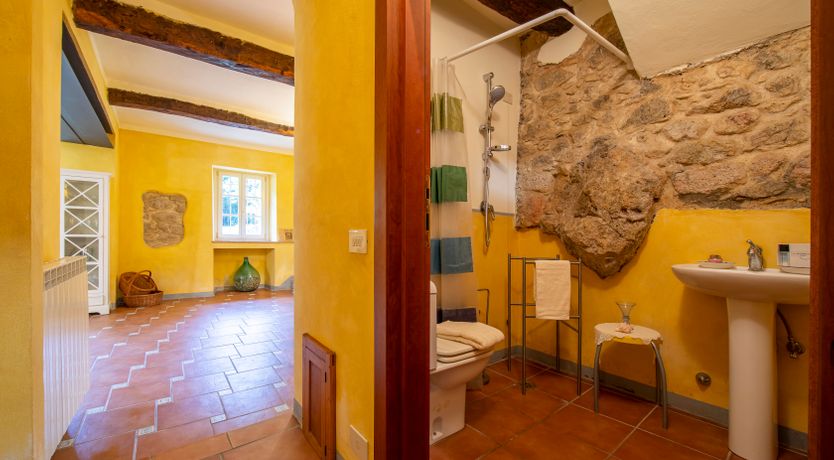 Photo of Emerald Forest