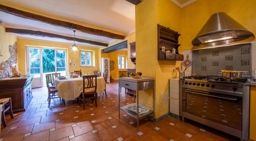 Photo of Emerald Forest