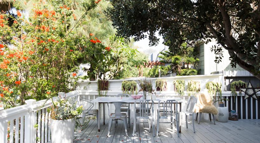 Photo of Canalside Charisma