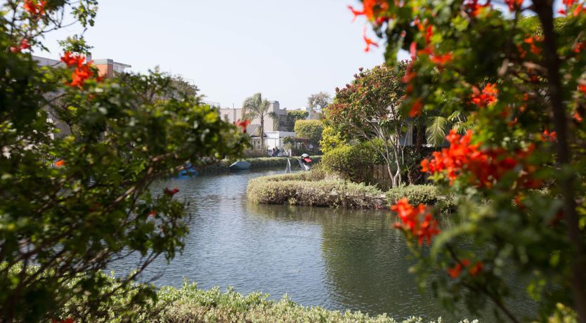 Photo of Canalside Charisma