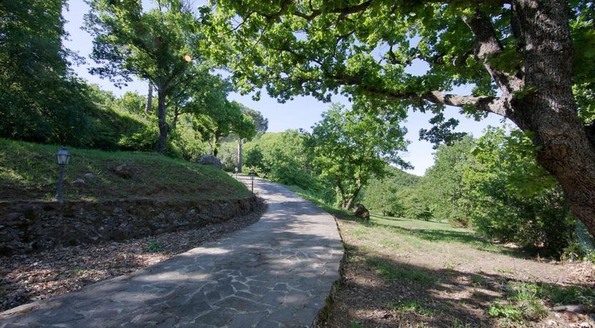 Photo of Cedar & Oak