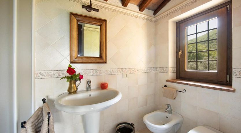 Photo of Cedar & Oak