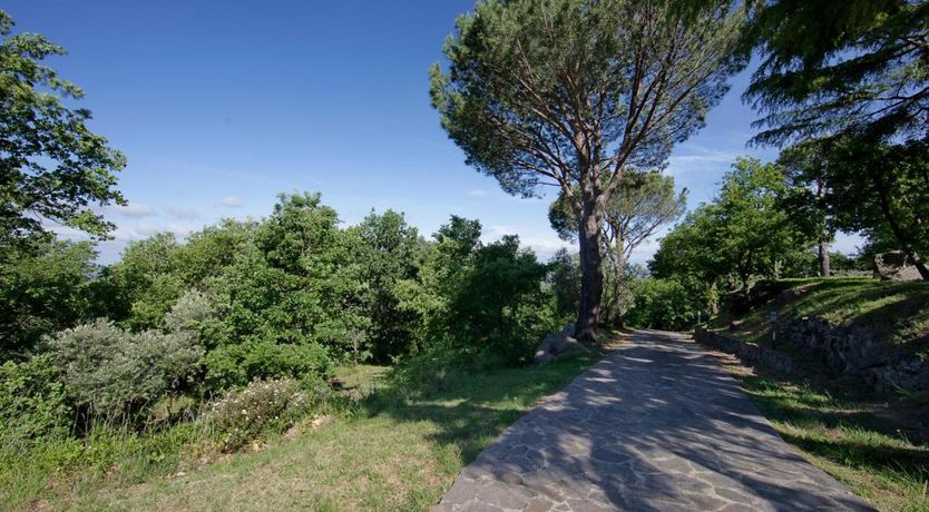 Photo of Cedar & Oak