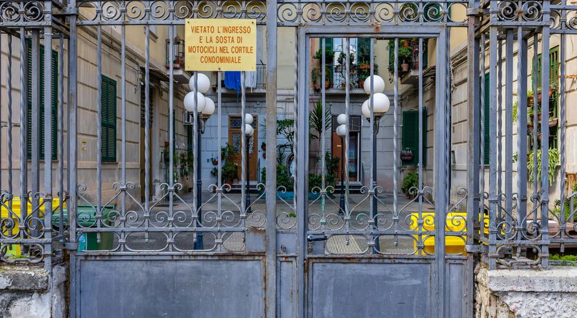 Photo of Light of You