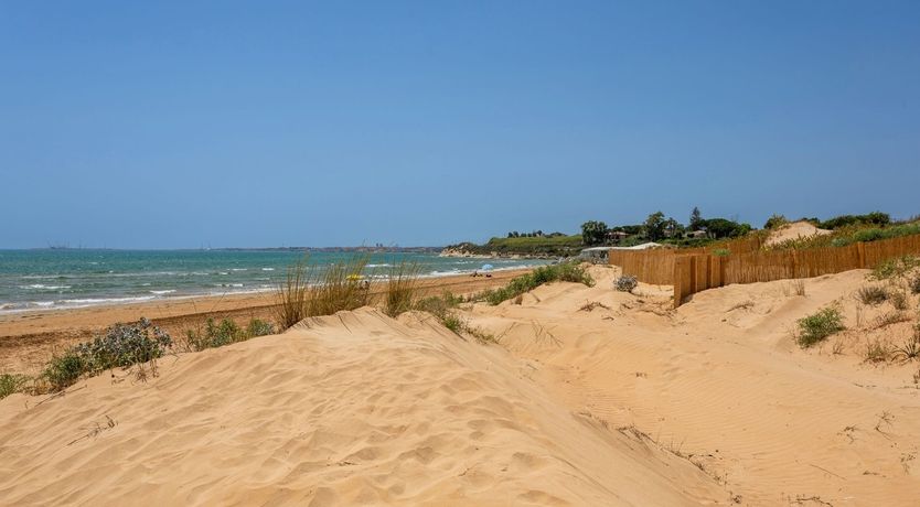 Photo of Shimmers by the Sea