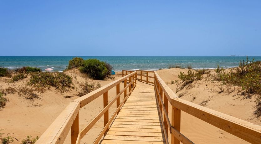 Photo of Shimmers by the Sea