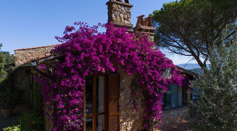 Photo of The Majestic Sea