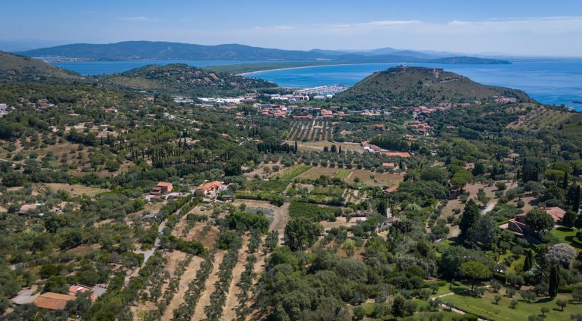 Photo of The Majestic Sea