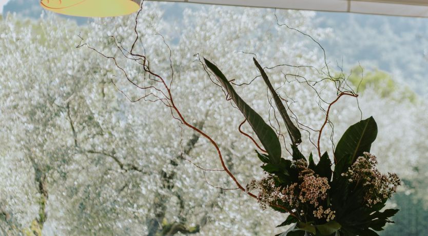 Photo of Modern Drift