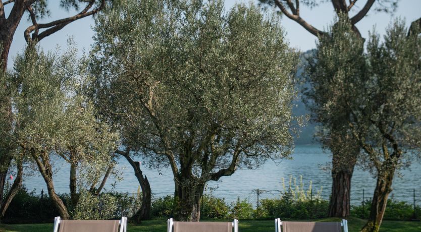 Photo of Modern Drift