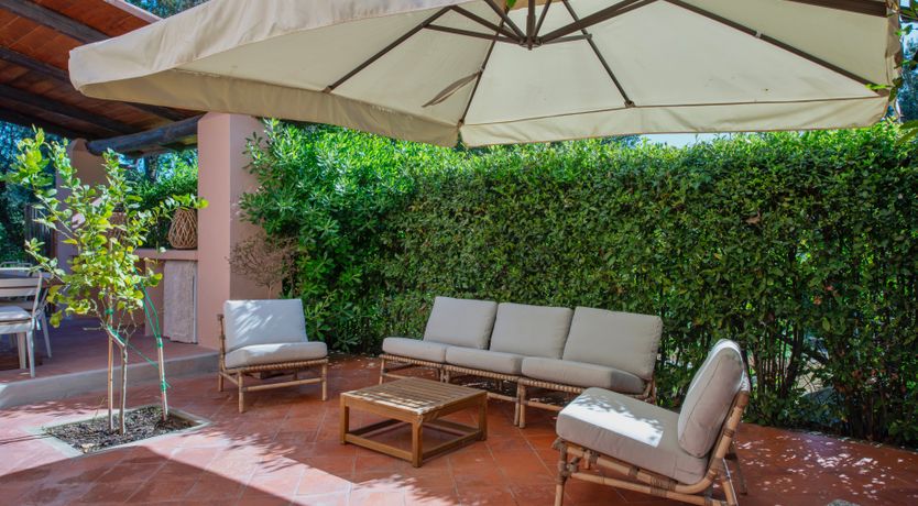 Photo of Sunlit Leaves