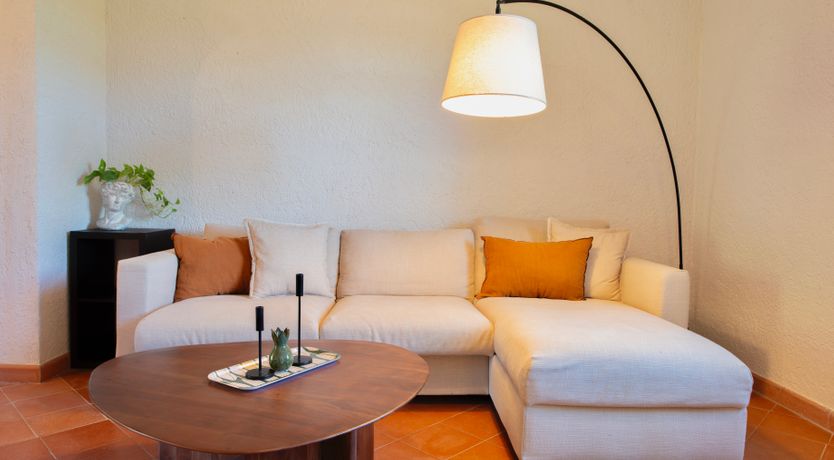 Photo of Sunlit Leaves