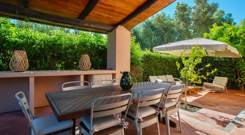 Photo of Sunlit Leaves